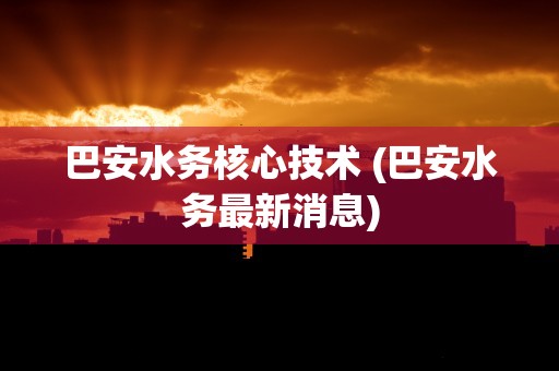 巴安水务核心技术 (巴安水务最新消息)