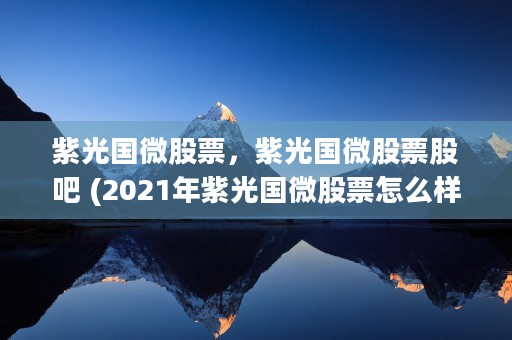 紫光国微股票，紫光国微股票股吧 (2021年紫光国微股票怎么样)