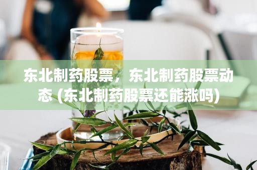 东北制药股票，东北制药股票动态 (东北制药股票还能涨吗)