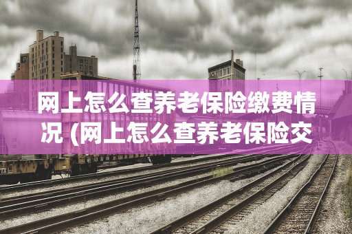 网上怎么查养老保险缴费情况 (网上怎么查养老保险交了几年)