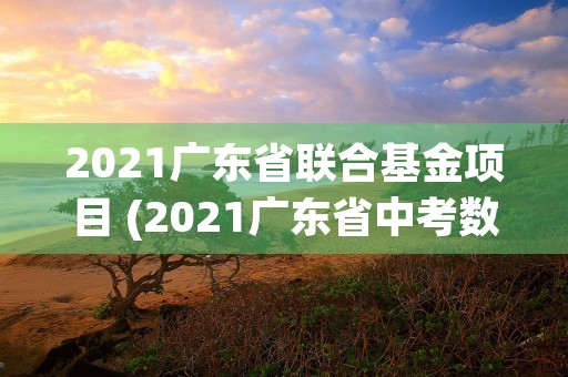 2021广东省联合基金项目 (2021广东省中考数学试卷)