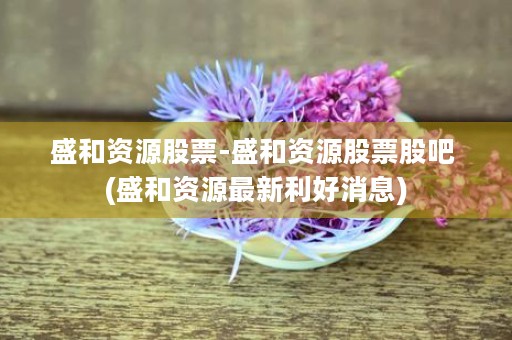 盛和资源股票-盛和资源股票股吧 (盛和资源最新利好消息)