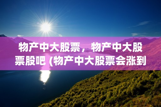 物产中大股票，物产中大股票股吧 (物产中大股票会涨到50元)