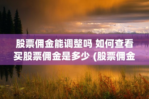 股票佣金能调整吗 如何查看买股票佣金是多少 (股票佣金万2.5是什么意思)