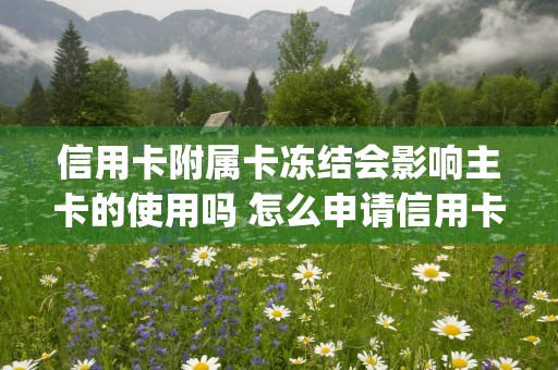 信用卡附属卡冻结会影响主卡的使用吗 怎么申请信用卡附属卡 (信用卡附属卡冻结怎么解除)