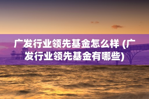 广发行业领先基金怎么样 (广发行业领先基金有哪些)