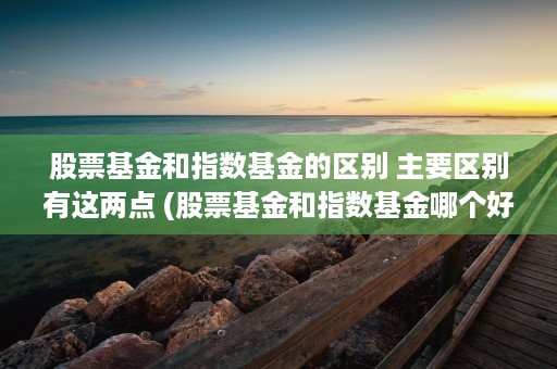 股票基金和指数基金的区别 主要区别有这两点 (股票基金和指数基金哪个好)