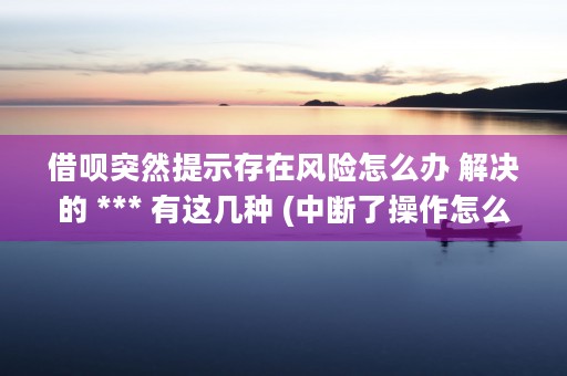 借呗突然提示存在风险怎么办 解决的 *** 有这几种 (中断了操作怎么回事)