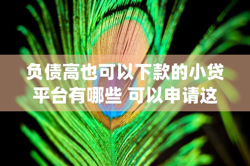 负债高也可以下款的小贷平台有哪些 可以申请这些平台 (负债高也能下款)