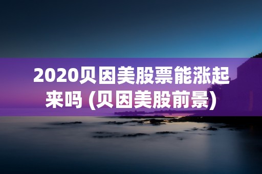 2020贝因美股票能涨起来吗 (贝因美股前景)