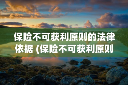 保险不可获利原则的法律依据 (保险不可获利原则是指)