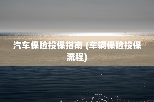 汽车保险投保指南 (车辆保险投保流程)