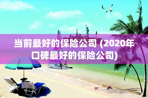 当前最好的保险公司 (2020年口碑最好的保险公司)