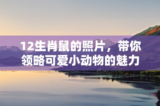 织毛衣什么意思，快来了解它代表的传统创造力和时尚风潮