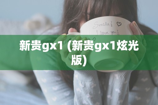 新贵gx1 (新贵gx1炫光版)