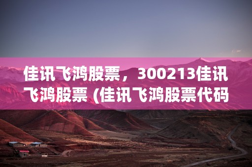 佳讯飞鸿股票，300213佳讯飞鸿股票 (佳讯飞鸿股票代码)