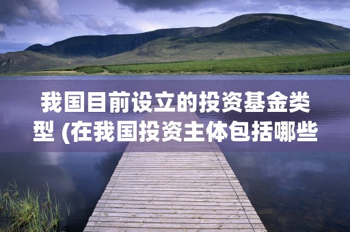 我国目前设立的投资基金类型 (在我国投资主体包括哪些)