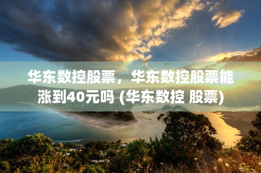 华东数控股票，华东数控股票能涨到40元吗 (华东数控 股票)