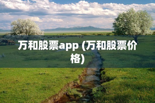 万和股票app (万和股票价格)