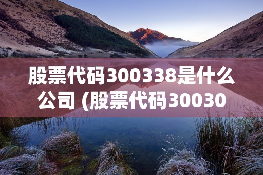 股票代码300338是什么公司 (股票代码300300公司全称)