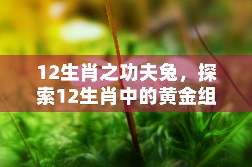 12生肖第一名是蛇还是虎，让我们揭晓谜底