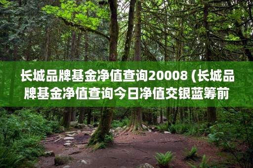 长城品牌基金净值查询20008 (长城品牌基金净值查询今日净值交银蓝筹前)