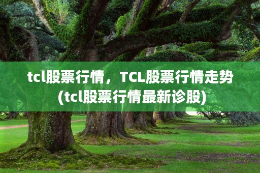 tcl股票行情，TCL股票行情走势 (tcl股票行情最新诊股)