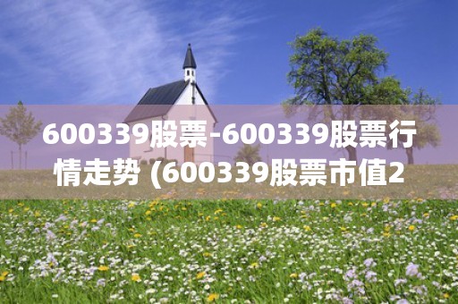 600339股票-600339股票行情走势 (600339股票市值2003年5月30日)