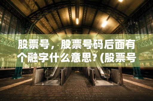 股票号，股票号码后面有个融字什么意思? (股票号怎么看)