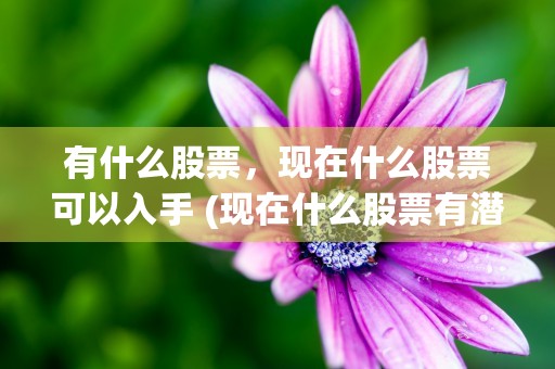 有什么股票，现在什么股票可以入手 (现在什么股票有潜力)