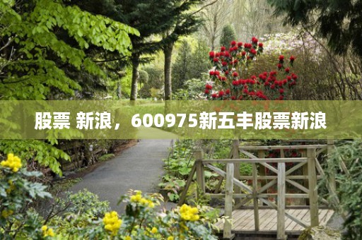 股票 新浪，600975新五丰股票新浪