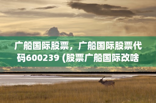 广船国际股票，广船国际股票代码600239 (股票广船国际改啥名了)