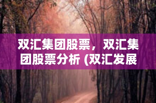 双汇集团股票，双汇集团股票分析 (双汇发展的股价)