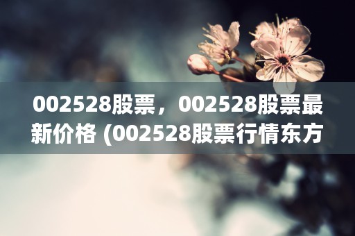 002528股票，002528股票最新价格 (002528股票行情东方财富)