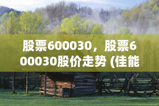 股票600030，股票600030股价走势 (佳能科技股票600030)