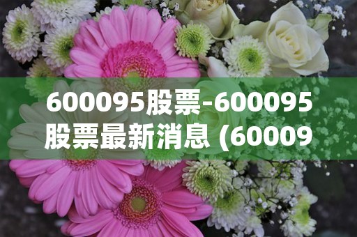 600095股票-600095股票最新消息 (600095股票多少)