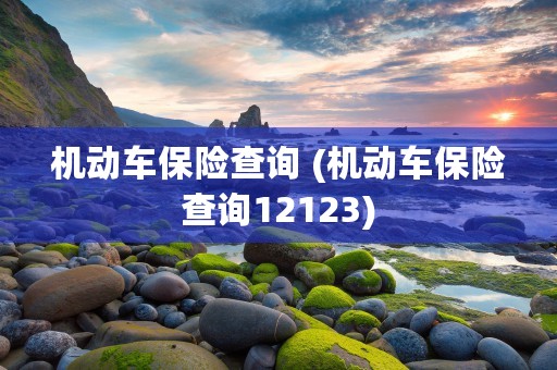 机动车保险查询 (机动车保险查询12123)