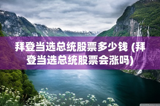 拜登当选总统股票多少钱 (拜登当选总统股票会涨吗)