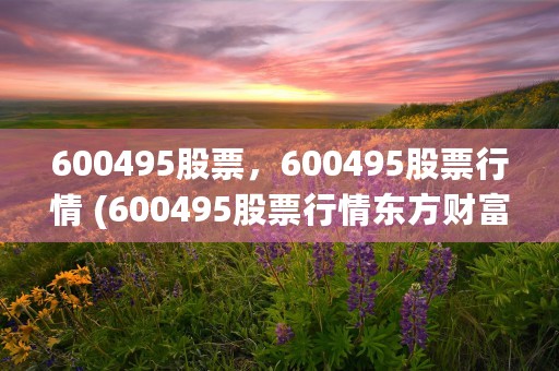 600495股票，600495股票行情 (600495股票行情东方财富网)