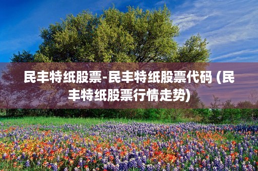 民丰特纸股票-民丰特纸股票代码 (民丰特纸股票行情走势)