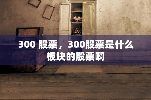 300 股票，300股票是什么板块的股票啊