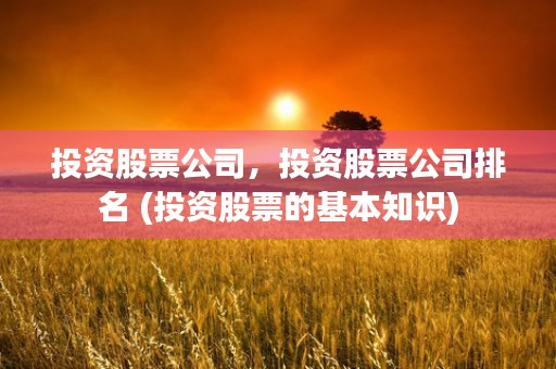 投资股票公司，投资股票公司排名 (投资股票的基本知识)