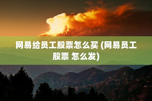 网易给员工股票怎么买 (网易员工股票 怎么发)