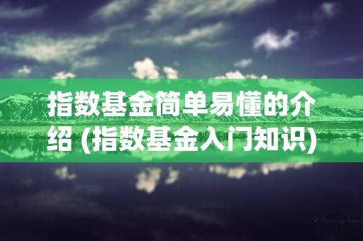 指数基金简单易懂的介绍 (指数基金入门知识)