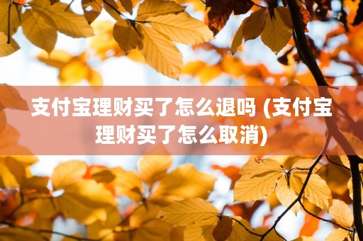 支付宝理财买了怎么退吗 (支付宝理财买了怎么取消)