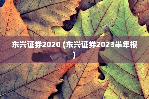 东兴证券2020 (东兴证券2023半年报)