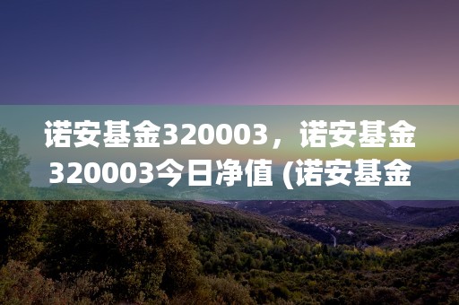 诺安基金320003，诺安基金320003今日净值 (诺安基金320001最新净值)