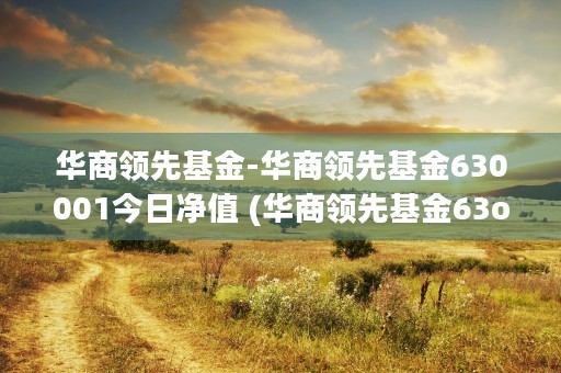 华商领先基金-华商领先基金630001今日净值 (华商领先基金63ooo1视频)