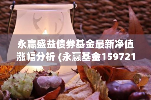 永赢盛益债券基金最新净值涨幅分析 (永赢基金159721)