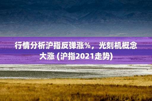 行情分析沪指反弹涨%，光刻机概念大涨 (沪指2021走势)